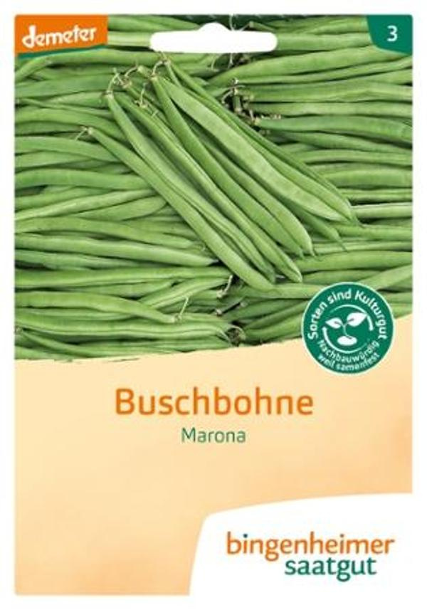 Produktfoto zu Buschbohnen "Marona" 30g Bingenheimer Saatgut