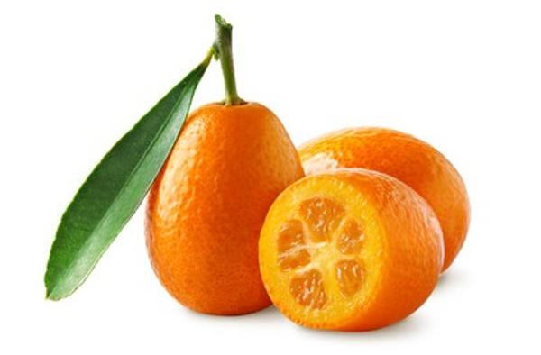 Produktfoto zu Kumquat