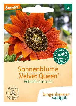 Produktfoto zu Sonnenblume "Velvet Queen" 5g Bingenheimer Saatgut