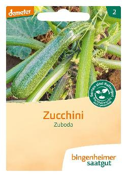 Produktfoto zu Zucchini "Zuboda" 3g Bingenheimer Saatgut