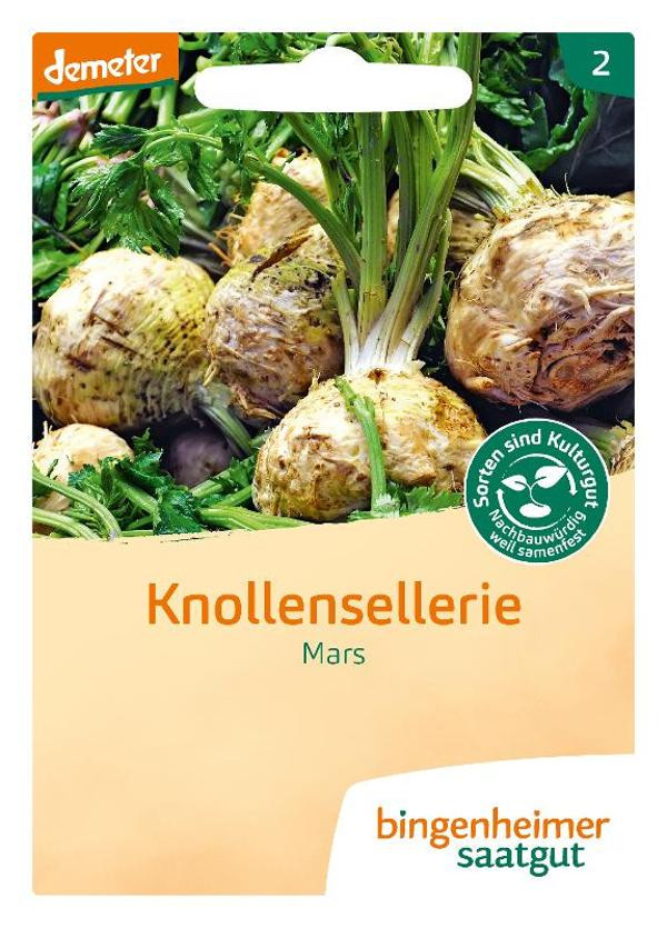 Produktfoto zu Saatgut Knollensellerie "Mars" 3g Bingenheimer Saatgut