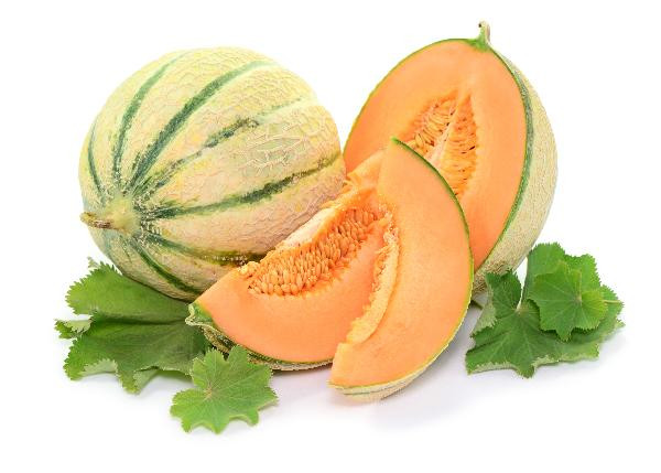 Produktfoto zu Melone Honig Charentais