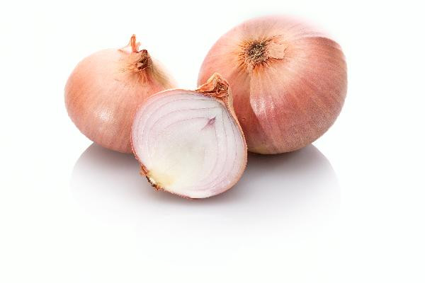 Produktfoto zu Zwiebel Rose de Roscoff