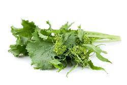 Produktfoto zu Cima di Rapa (Stängelkohl, Italienischer Broccoli)