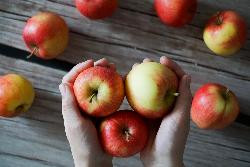 Produktfoto zu Apfel "Kinderapfel"