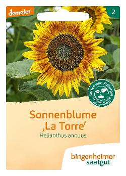 Produktfoto zu Sonnenblume "La Torre" 6g Bingenheimer Saatgut