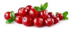 Produktfoto zu VPE Cranberries 10x200g bioladen