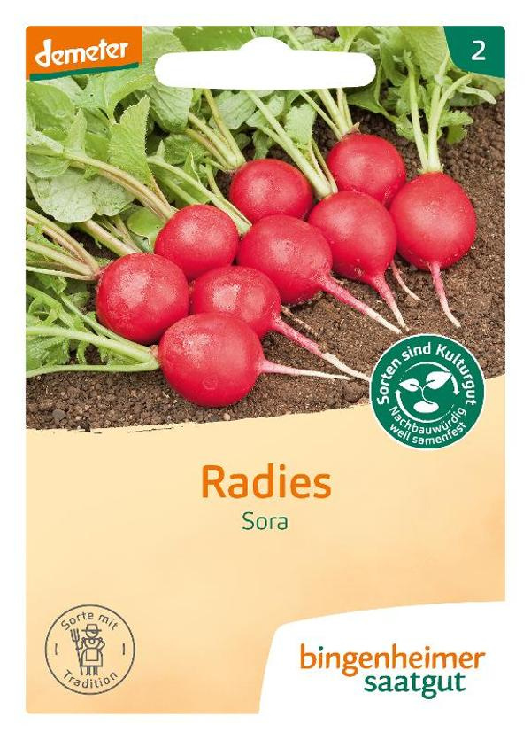 Produktfoto zu Radieschen "Sora" 7g Bingenheimer Saatgut