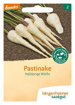 Produktfoto zu Pastinake Halblange Weiße Bingenheimer Saatgut